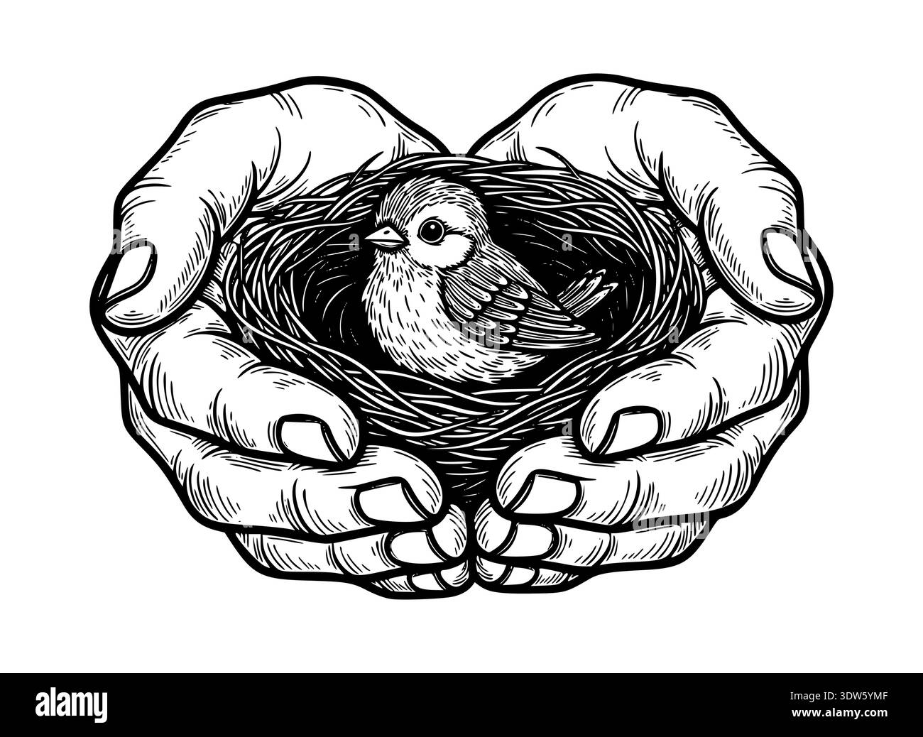 Eine detailreiche Gravur im Vintage-Stil mit schalen Händen, die sanft ein Vogelnest mit einem kleinen Küken im Inneren schützen. Stock Vektor