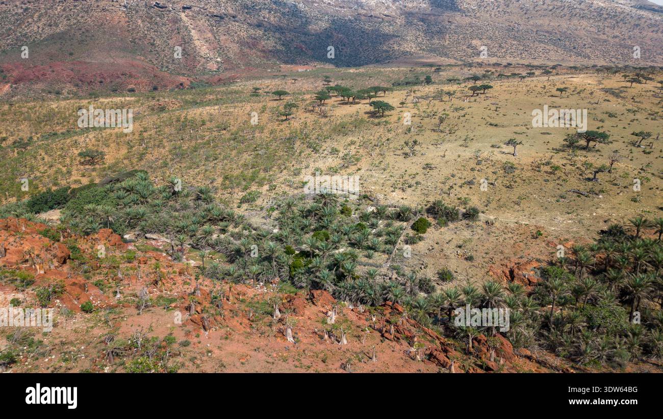 Aus der Vogelperspektive auf das trockene Savannental mit verstreuten Bäumen, felsigen Hügeln und fleckiger grüner Vegetation bei Tageslicht, mit schroffem Gelände und trockenem Land Stockfoto
