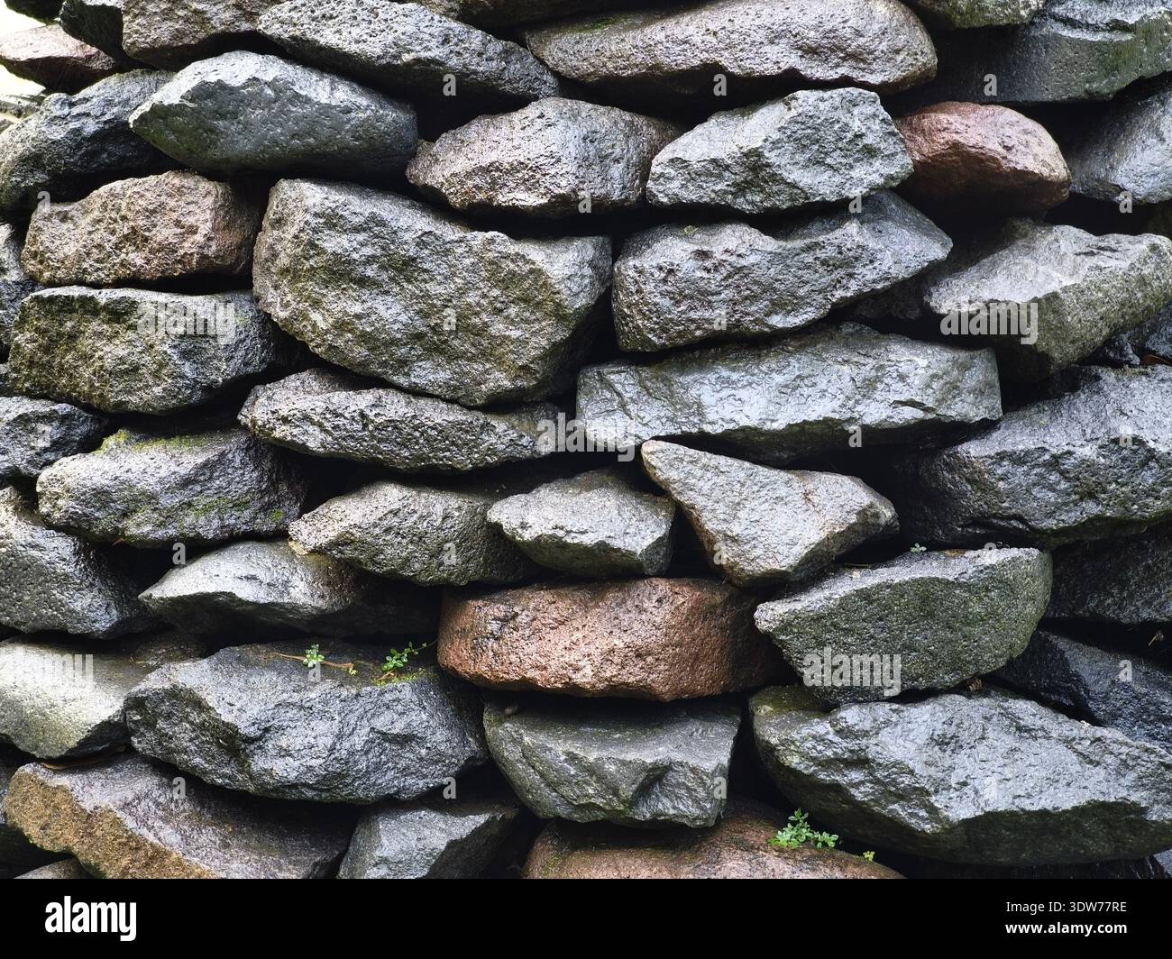 Haufen von Flusssteinen in zufälligen Formen, aber immer noch ordentlich mit ein paar kleinen Pflanzen, die dazwischen wachsen Stockfoto