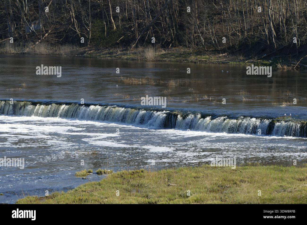 Ventas Rumba rasant auf dem Venta-Fluss in Kuldiga, Lettland Stockfoto