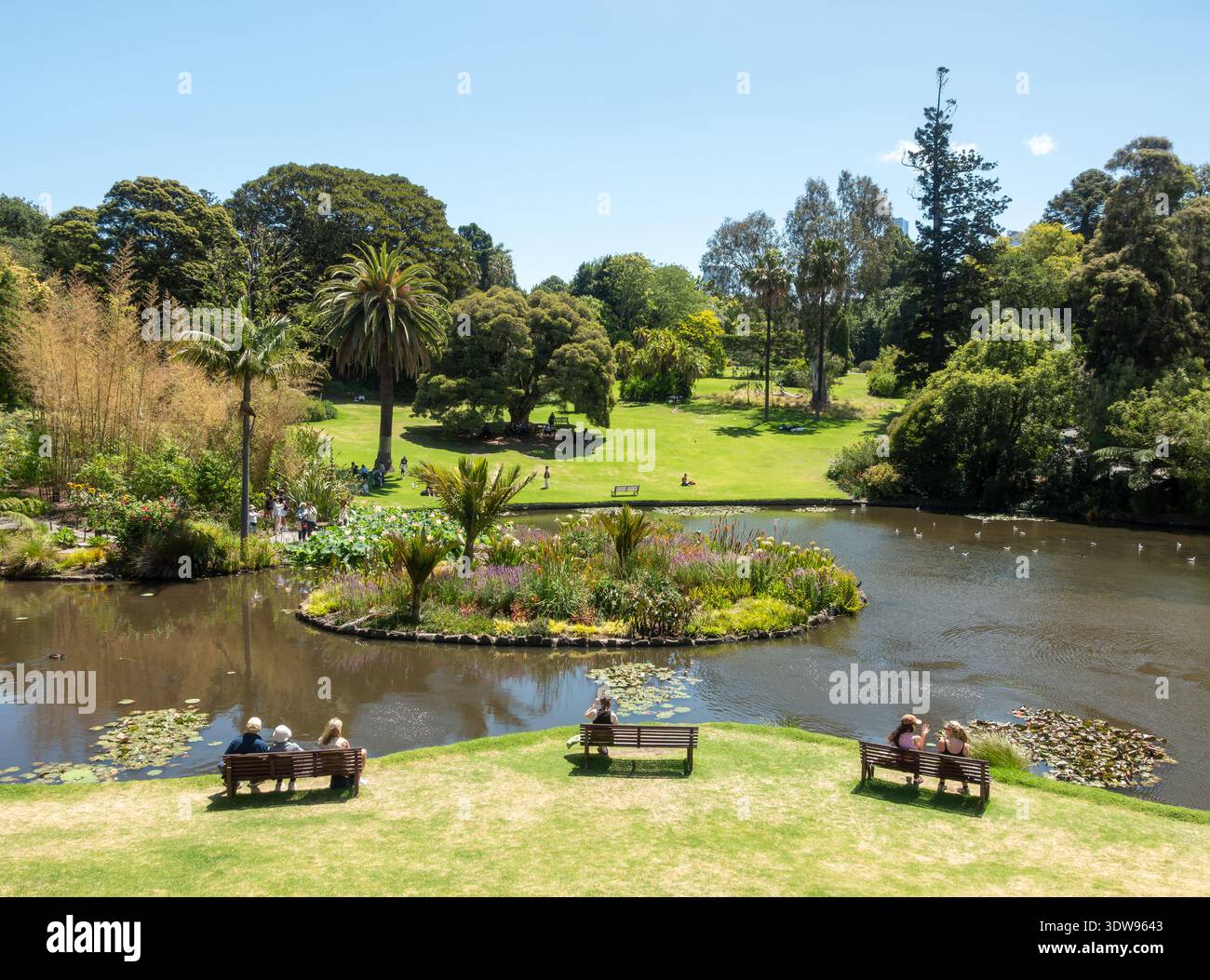 Melbourne Royal Botanic Gardens an einem heißen Tag im Sommer. Taxodium Lawn, Fountain Island, Ornamental Lake. Melbourne Australien. Stockfoto