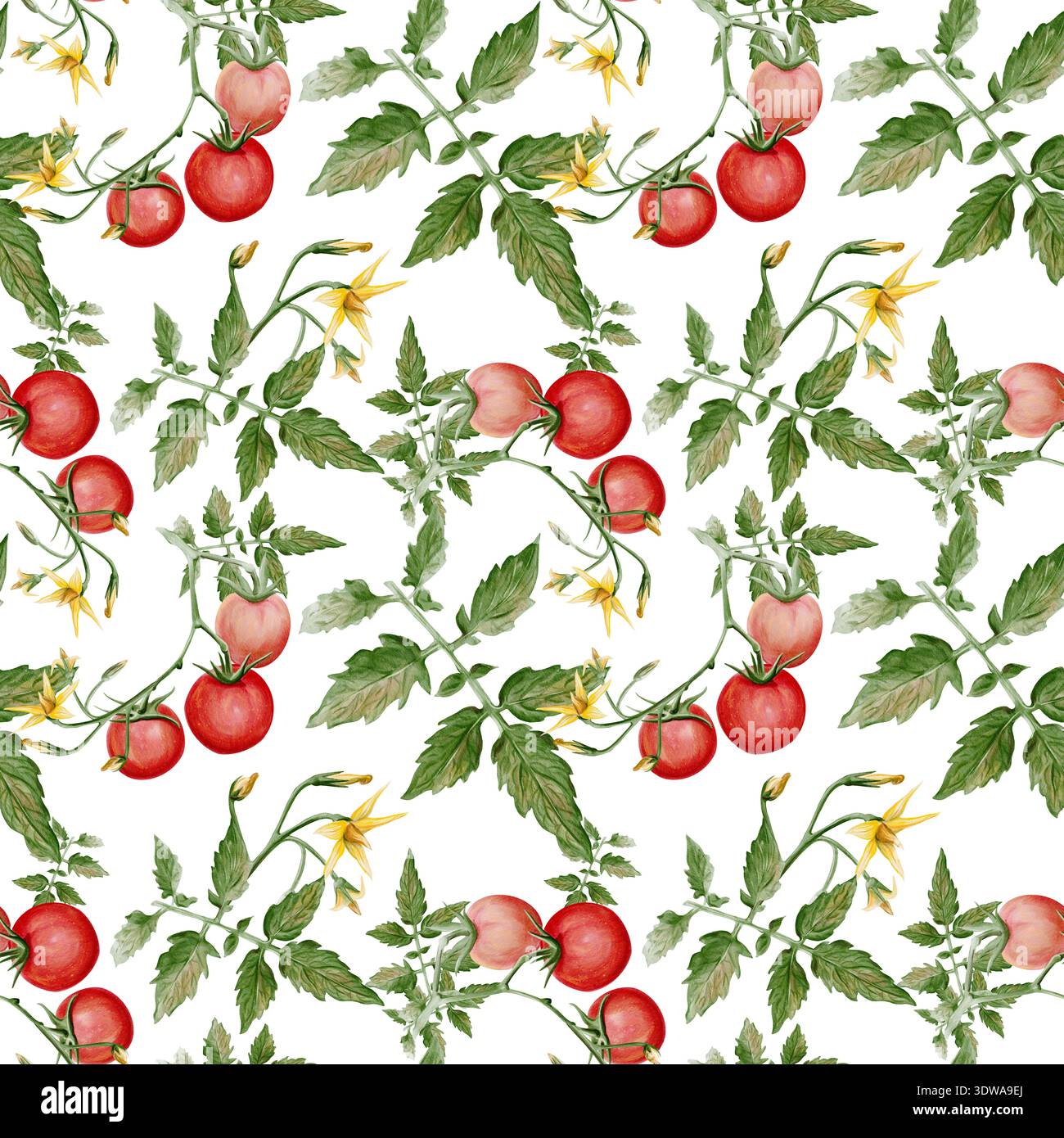 Nahtloses Aquarellmuster mit Kirschtomaten, grünen Blättern und gelben Blüten. Handgemalte botanische Illustration von frischem Gartengemüse Stockfoto