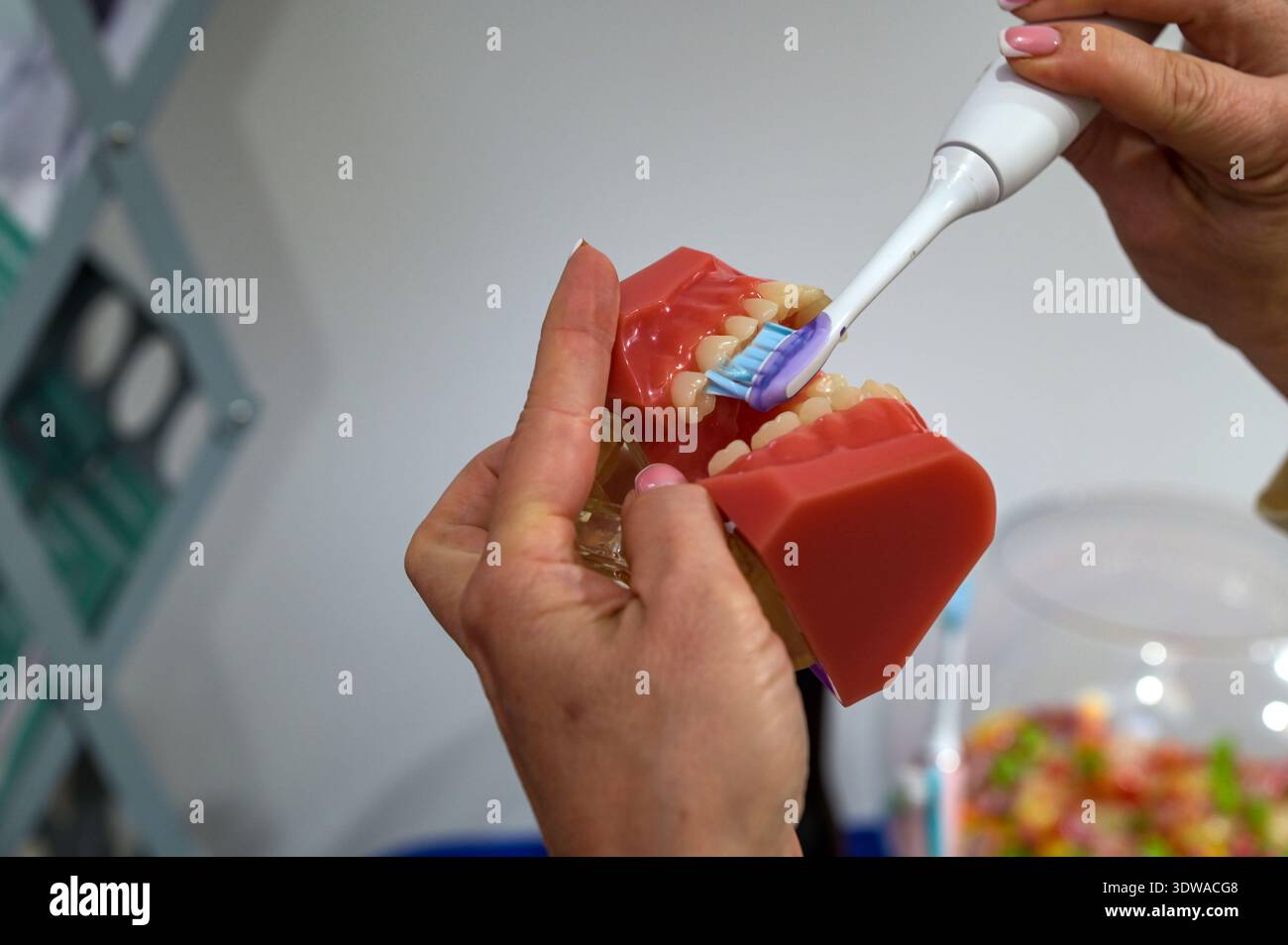Zahnarzt mit elektrischer Zahnbürste am künstlichen Kieferzahnmodell. Zahnpflege, Behandlung, Mundhygiene mit Bürste. Mundhygiene Concrete Stockfoto