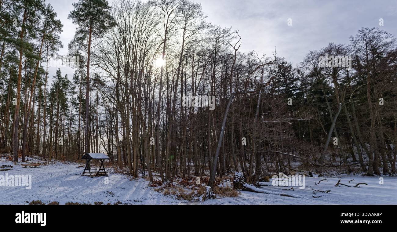 Wander- und Rastplatz auf dem schneebedeckten und eisbedeckten Heiliger See, einem See im Grumsiner Buchenwald, der zum UNESCO-Weltkulturerbe gehört Stockfoto