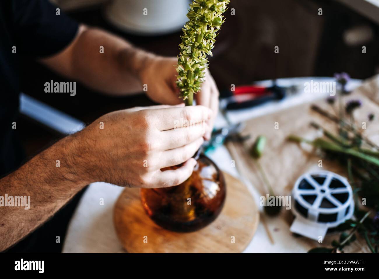Die Hände legen den großen grünen Blütenstängel in eine Glasvase auf dem Tisch. Japanische Blumenarrangements, minimalistische Ästhetik, meditative Kunst, Zen-Lifestyle Stockfoto