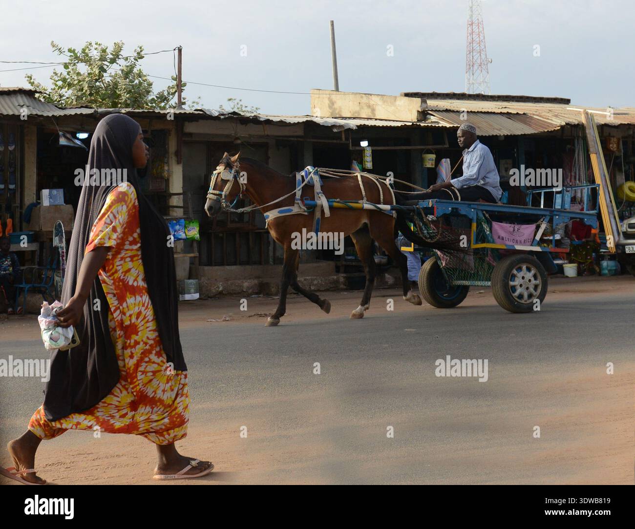 Eine gambische Frau geht an einem Pferdewagen und einem Kutscher vorbei, der sich vor einem geschäftigen Marktstand in einer kleinen Stadt entlang der nördlichen Autobahn in Gambia befindet. Stockfoto