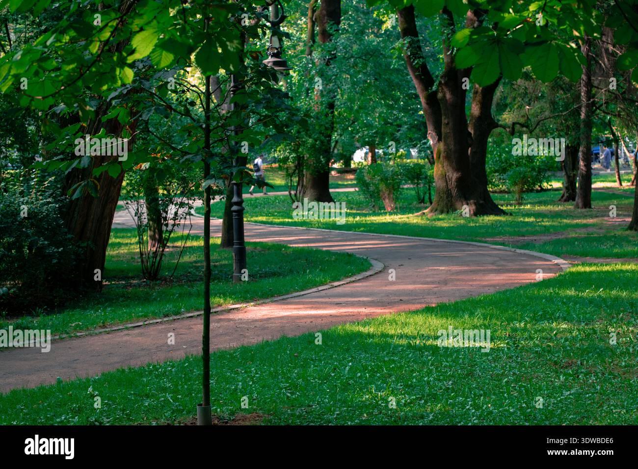 Eine ruhige Parkszene entfaltet sich mit strahlendem Sonnenlicht, das einen geschwungenen Weg beleuchtet, umgeben von lebendigem grünem Gras und Reifen Bäumen Stockfoto