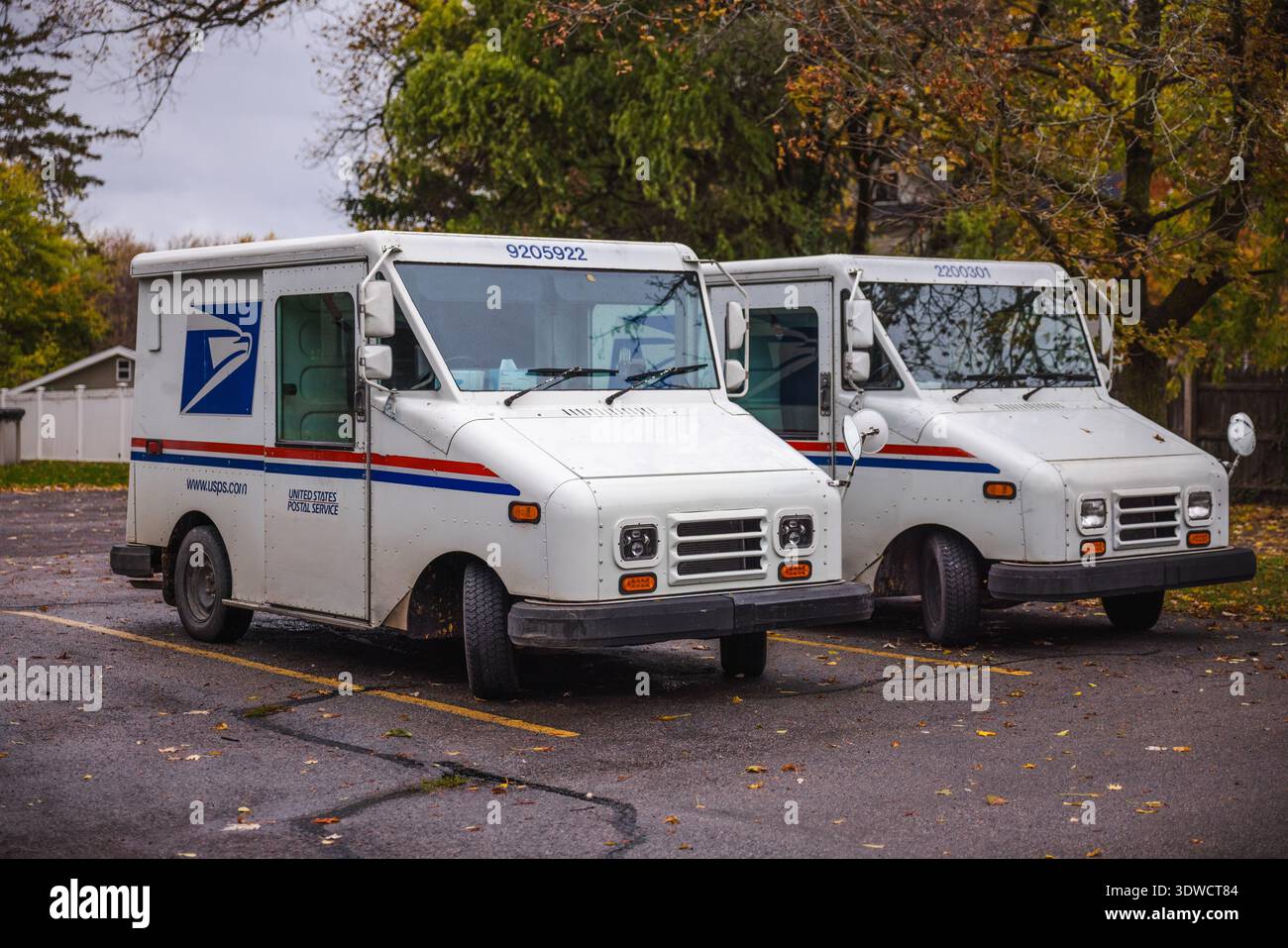 Wilson, NY, USA, 31. November 2025: Zwei USPS-Postwagen parkten nebeneinander auf einem leeren Grundstück, umgeben von Herbstbäumen und gefallenen Blättern. Stockfoto