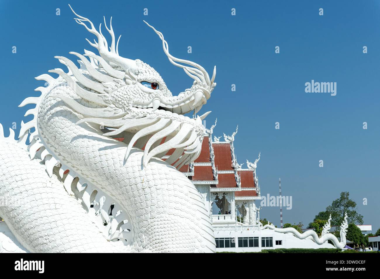 Verzierte weiße Drachenstatue mit blauen Augen und komplizierten Schuppen in einem buddhistischen Tempel in Thailand unter einem klaren blauen Himmel. Stockfoto