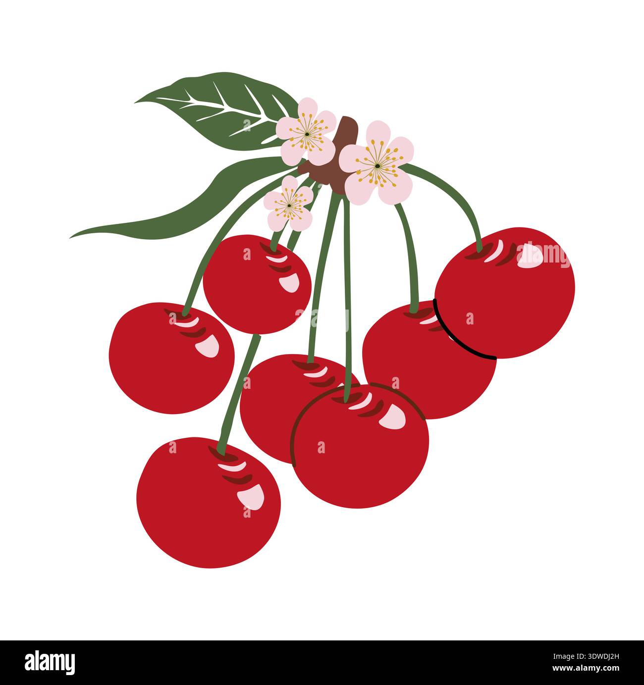 Rote Kirschen mit rosa Blüten und grünen Blättern Stock Vektor