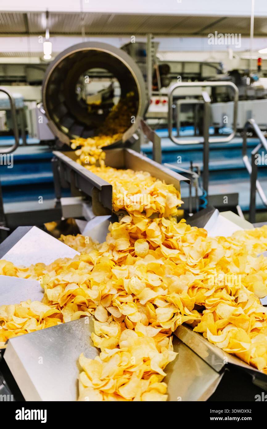 Automatisierte Produktion von Kartoffelchips in einer modernen Fabrik, die Maschinen in Aktion und die effiziente Herstellung von knusprigen, goldenen Chips präsentiert Stockfoto
