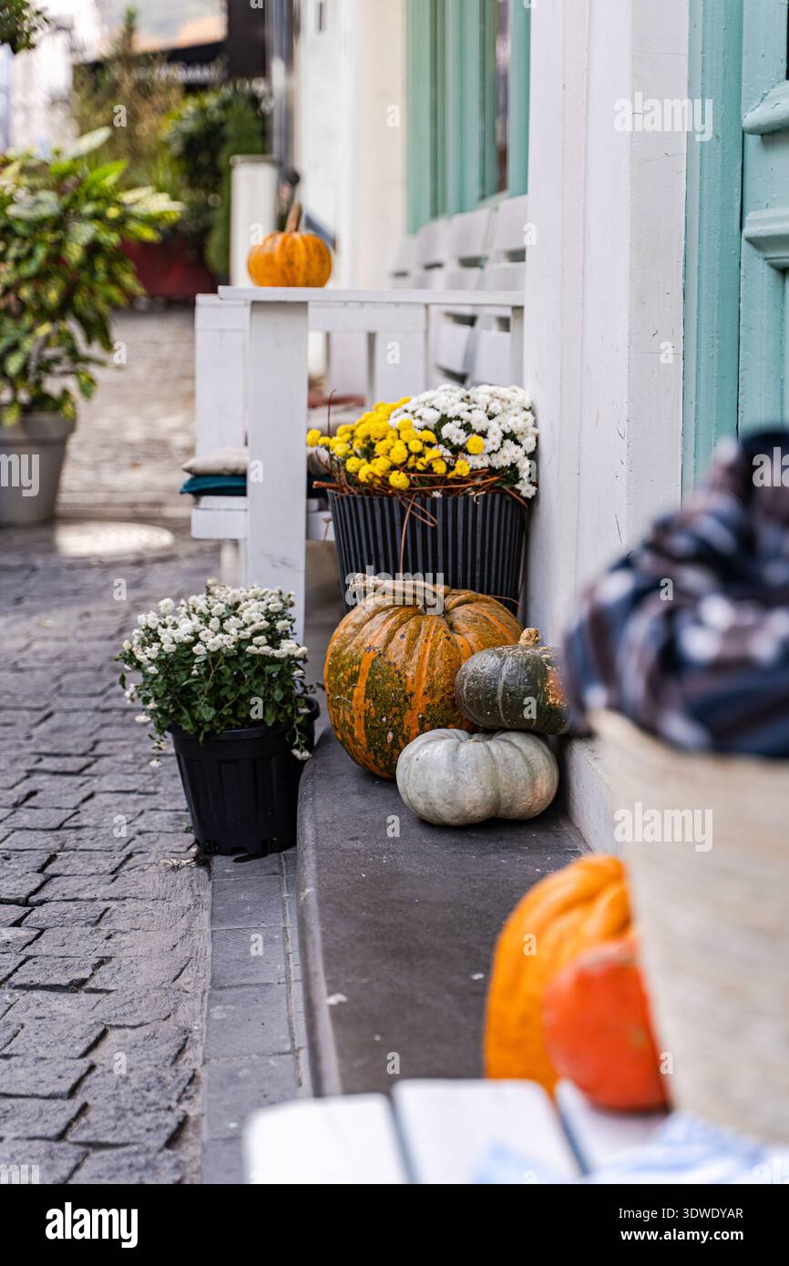 Blumen vor der haustr -Fotos und -Bildmaterial in hoher Auflsung  Alamy