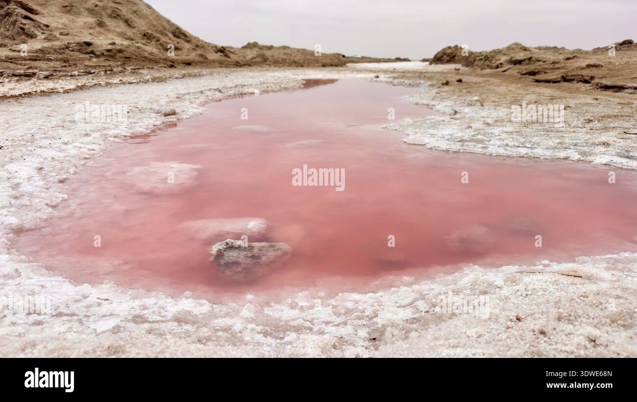 Ein atemberaubender Blick auf Namibias rosa Salzsee mit lebhaften Farbtönen, die sich von der trockenen Landschaft abheben. Dieses einzigartige Naturphänomen zeigt die Natur Stockfoto