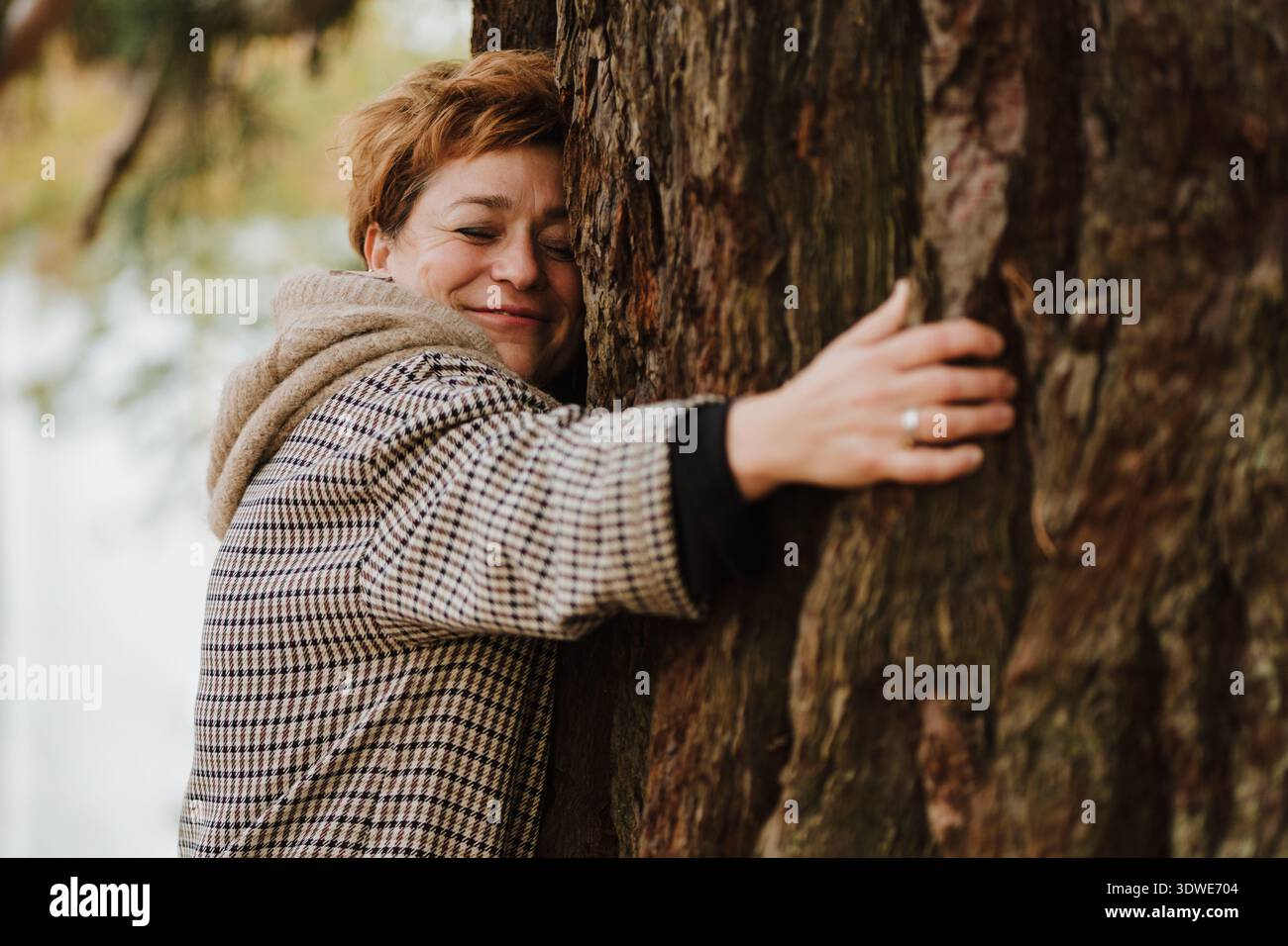 Eine Person umarmt einen Baum herzlich und symbolisiert damit ein Engagement für Nachhaltigkeit und umweltfreundliche Praktiken, wodurch die Bedeutung erneuerbarer Ressourcen hervorgehoben wird Stockfoto