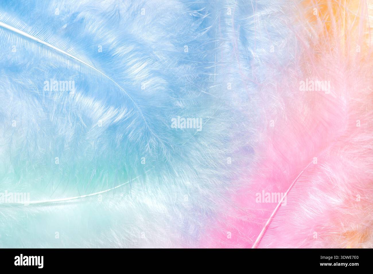 Ein ruhiger und zarter Federhintergrund mit sanften Pastellfarben in Blau, Rosa und Pfirsich sorgt für ein sanftes, beruhigendes visuelles Erlebnis Stockfoto