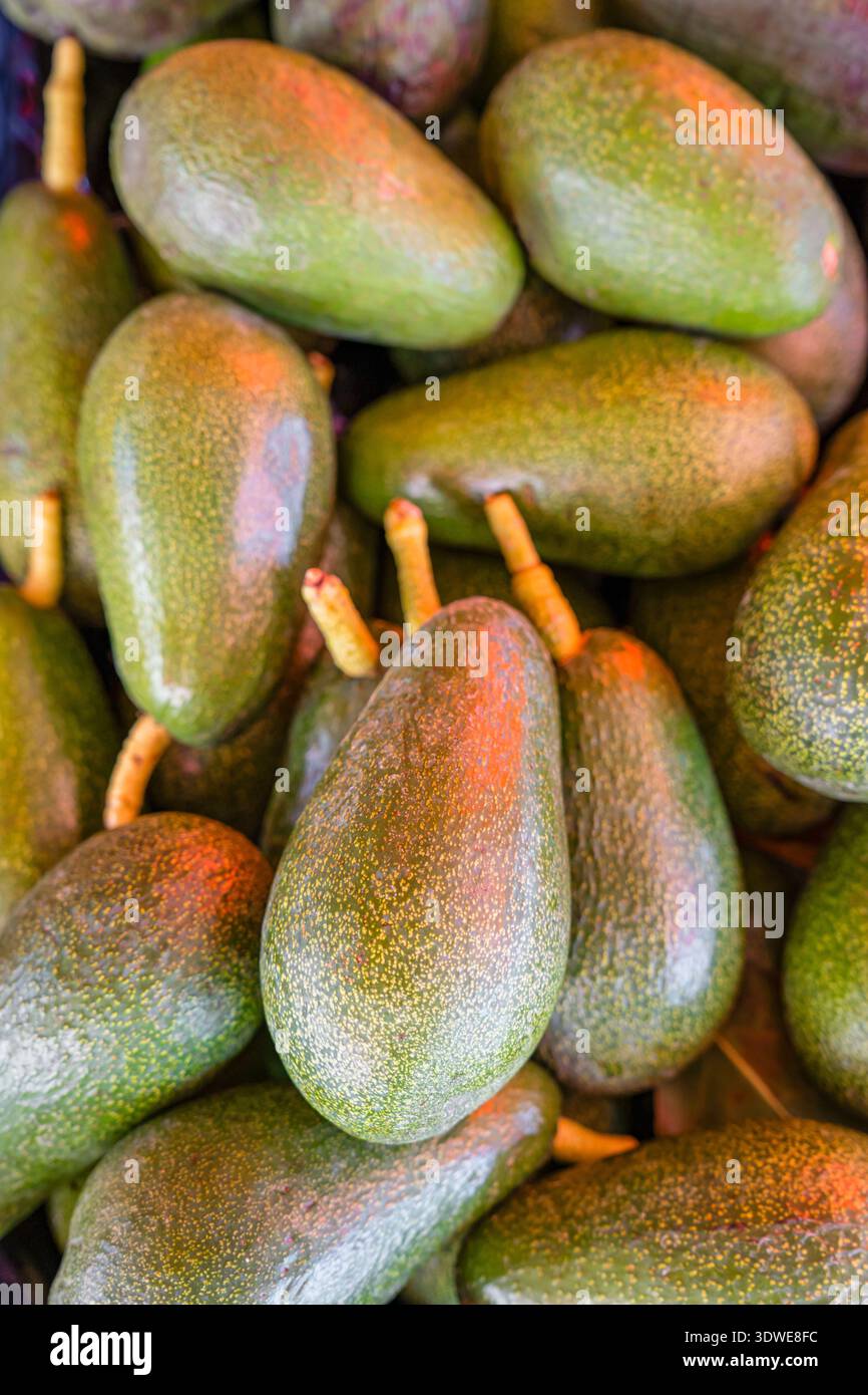 Eine Nahaufnahme frischer Avocados mit sattem Grün, die sich zusammenstapeln. Das Bild zeigt das lebendige und gesunde Aussehen der Avocados ide Stockfoto