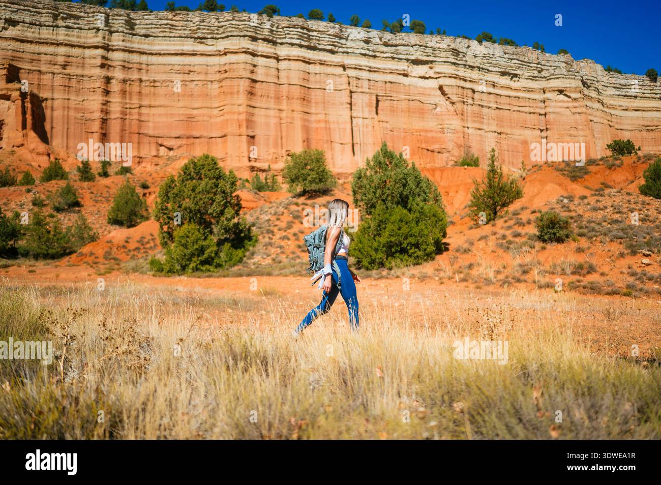 Eine Frau mit Rucksack wagt sich durch die atemberaubende Landschaft des Red Canyon, umgeben von majestätischen roten Felsformationen und lebhaftem Grün, Embodyin Stockfoto