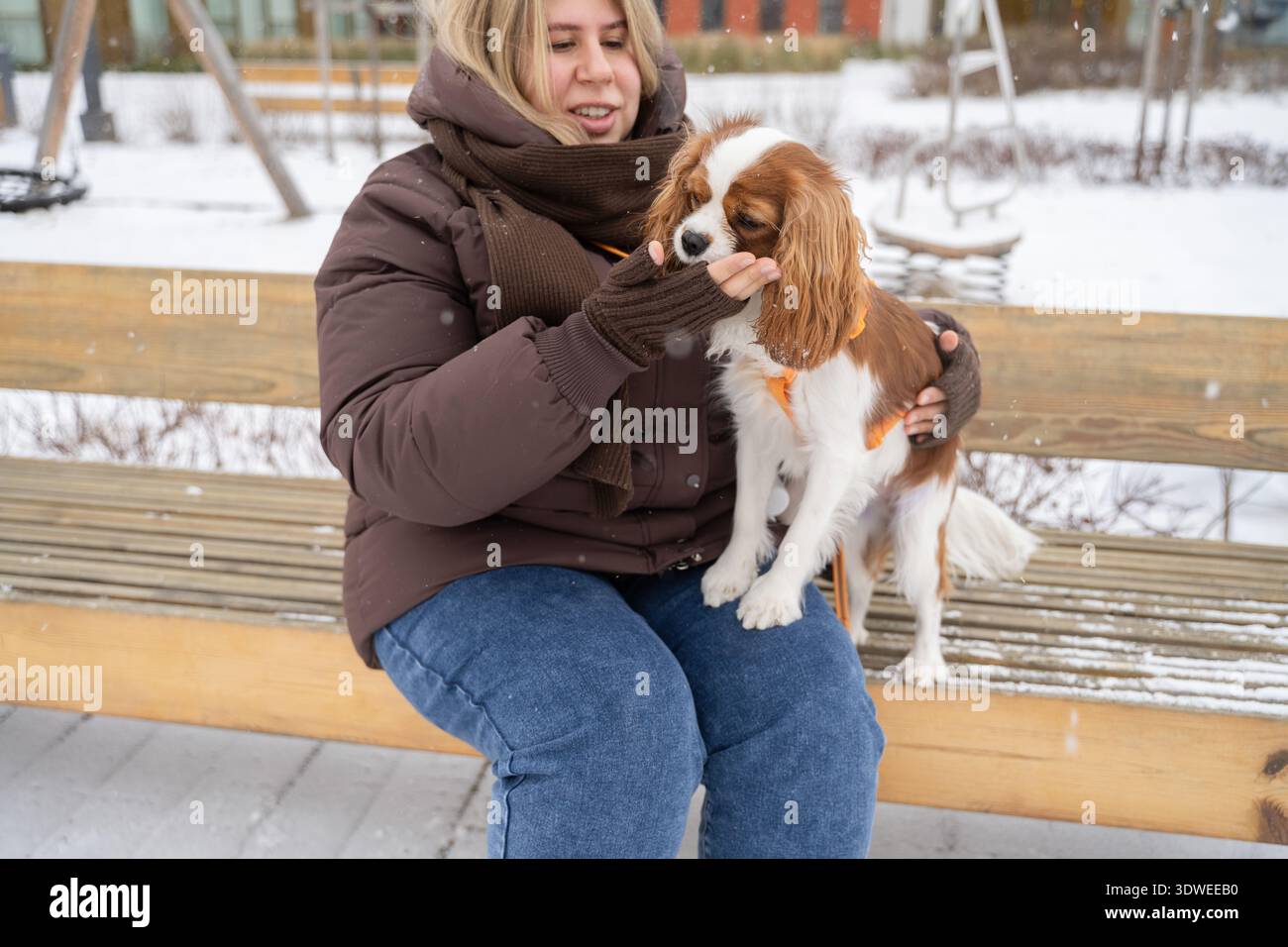 Eine Frau in Winterkleidung sitzt auf einer Bank und hält liebevoll ihren Kavalier König Charles Spaniel. Schnee fällt sanft um sie herum Stockfoto