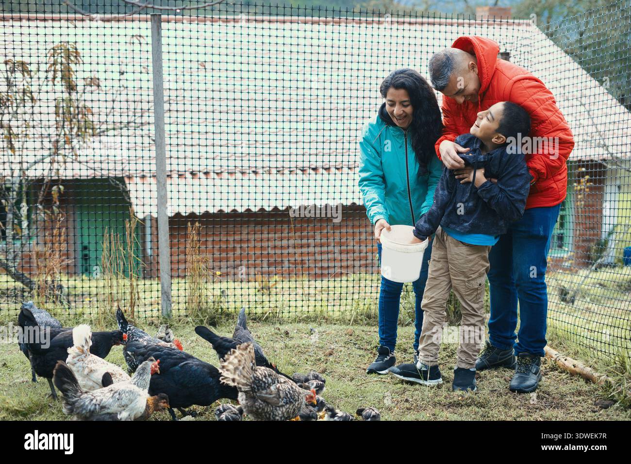 Eine dreiköpfige Familie, darunter zwei Erwachsene und ein Kind, füttert Hühner in einem umzäunten Bauernhof, genießt praktische Übungen und fördert die Verbindung mit na Stockfoto