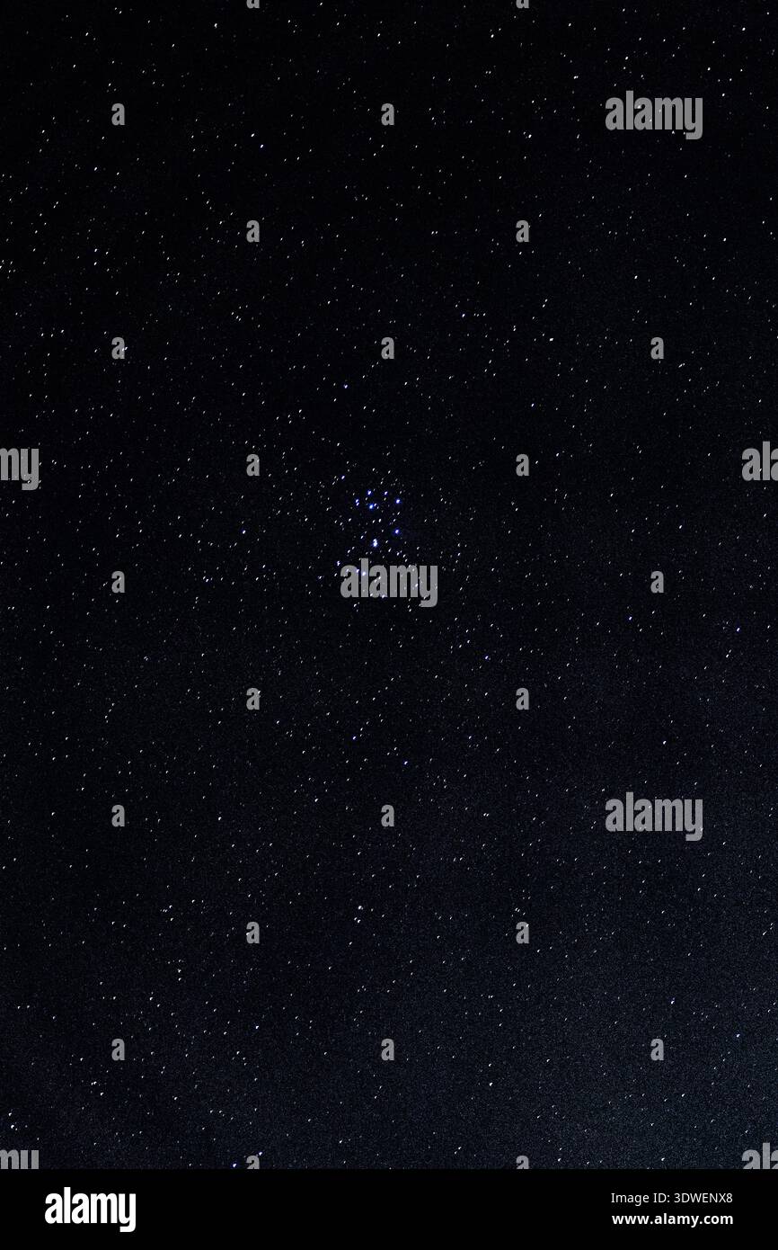 Ein fesselnder Blick auf den Nachthimmel zeigt unzählige Sterne, die über den weiten Raum verstreut sind. Eine ferne Galaxie sieht man schimmern und hinzufügen Stockfoto