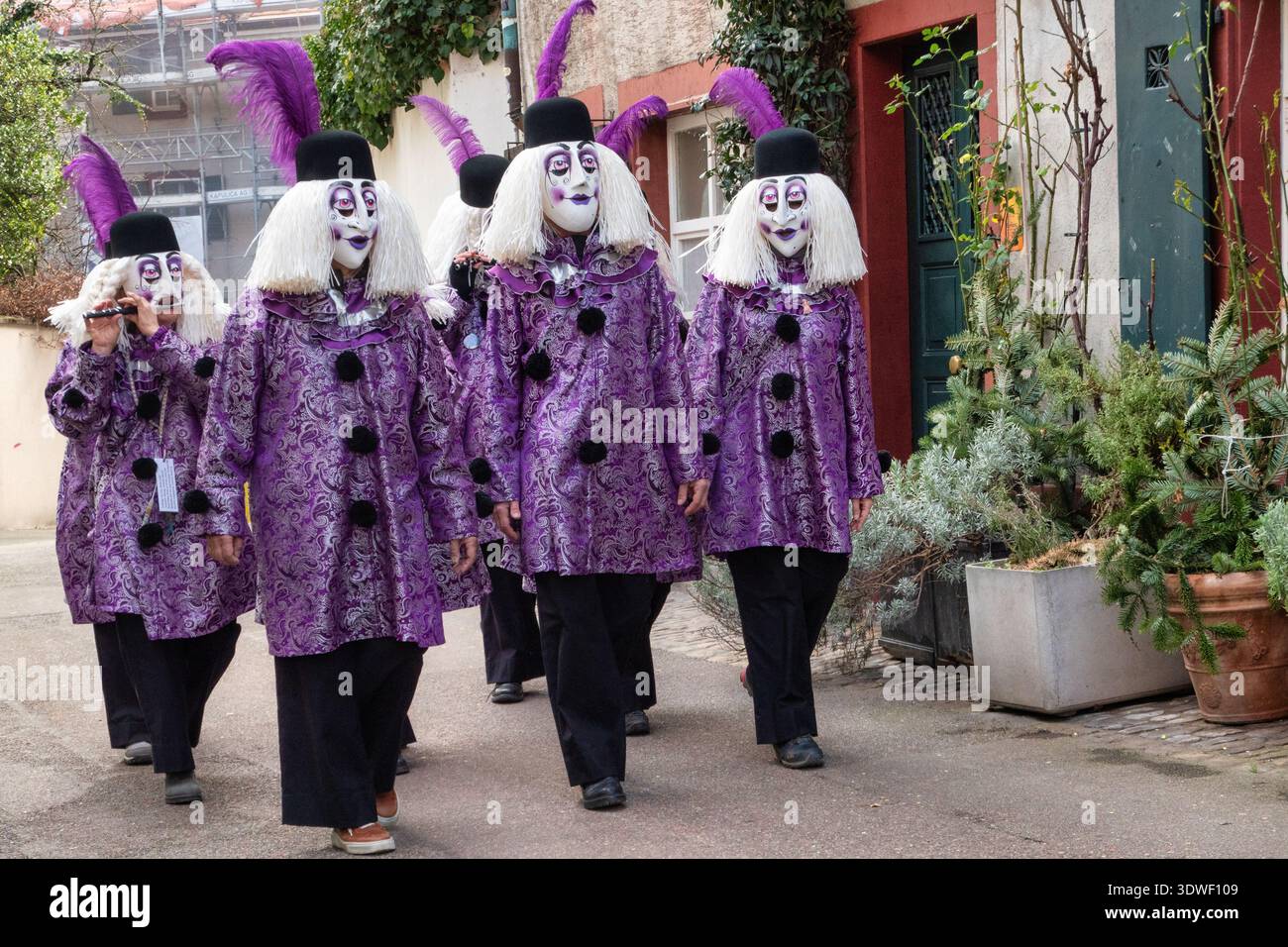 Schweiz, Basel, Zoll, Karneval, Stadt Basel, Baselstadt, Kanton Basel, Cortege, Larven, Masken, Benutzerdefiniert Stockfoto