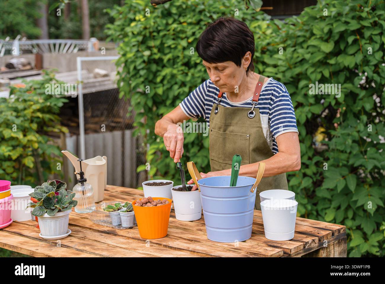 Frau mittleren Alters pflanzt im Freien Topfpflanzen, einschließlich afrikanischer Veilchen, auf einem rustikalen Holztisch wieder an und demonstriert dabei ihre Fertigkeiten und Pläne im Garten Stockfoto