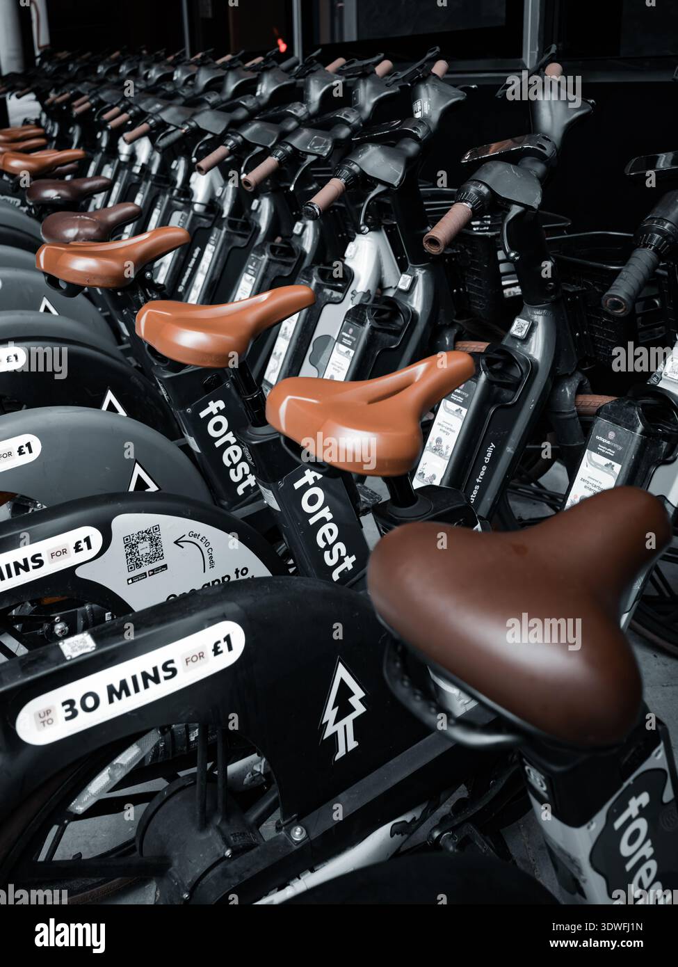 Forest Rental Bikes in einer Schlange, London in Portrait Orientation Stockfoto