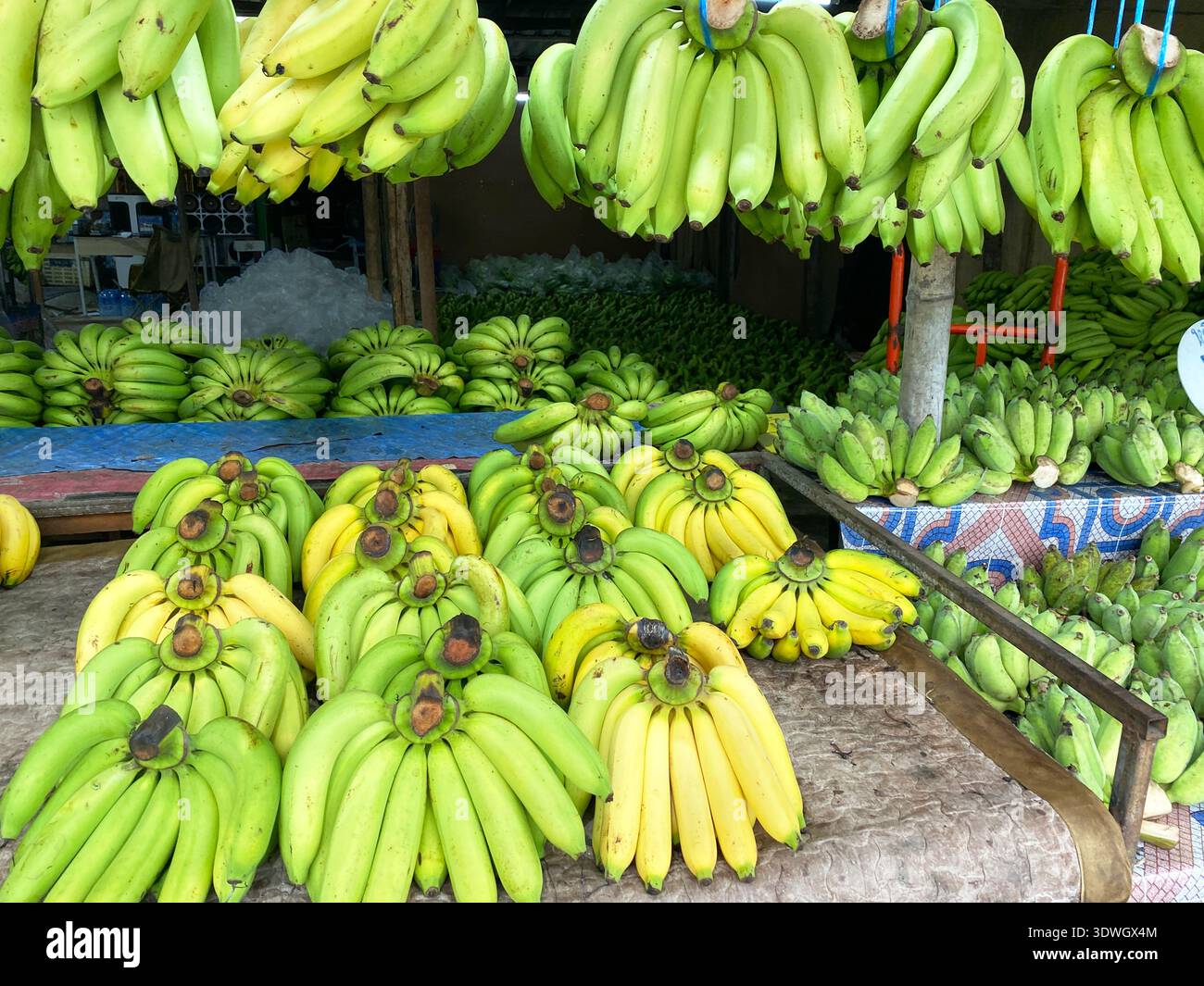 Frische Bananen werden auf einem Holztisch auf einem asiatischen Markt serviert, darüber hängen in einer farbenfrohen und lebhaften Umgebung zusätzliche Bananen Stockfoto