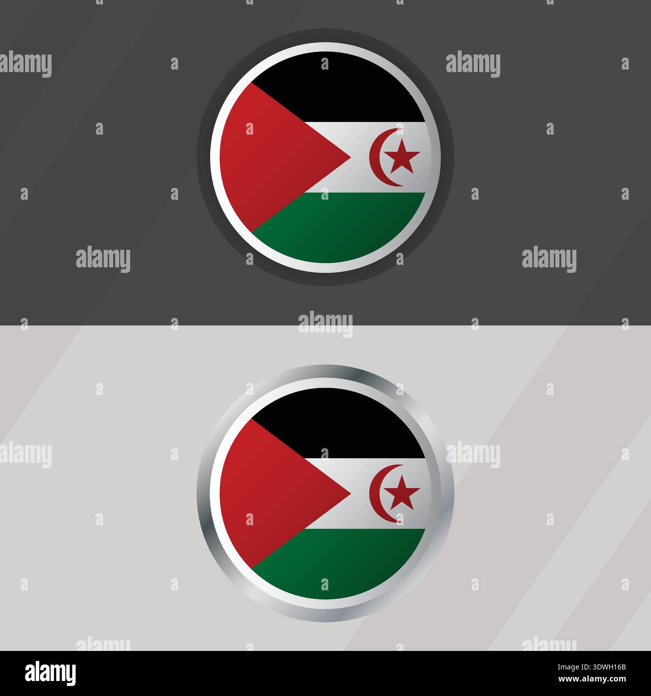 Vektor-Vorlage Für Die Runde Flagge Der Westsahara Stock Vektor