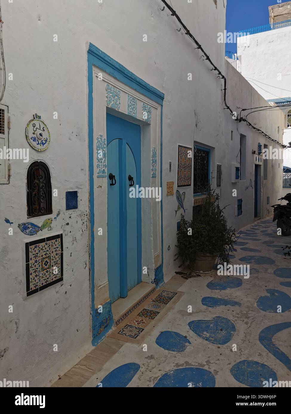 Hammamet: Enge blau-weiße Gassen der alten Medina Tunesien, mit traditioneller Architektur und ruhigen Straßen in der historischen Küstenstadt. Stockfoto