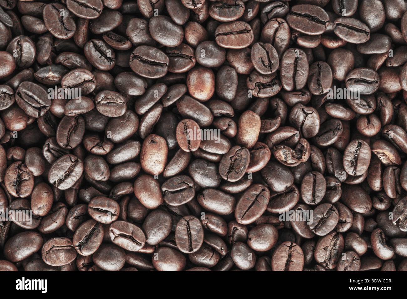 Schwarze Kaffeebohnen Studioaufnahme. Frisch geröstete Kaffeebohnen als Textur Hintergrund Stockfoto