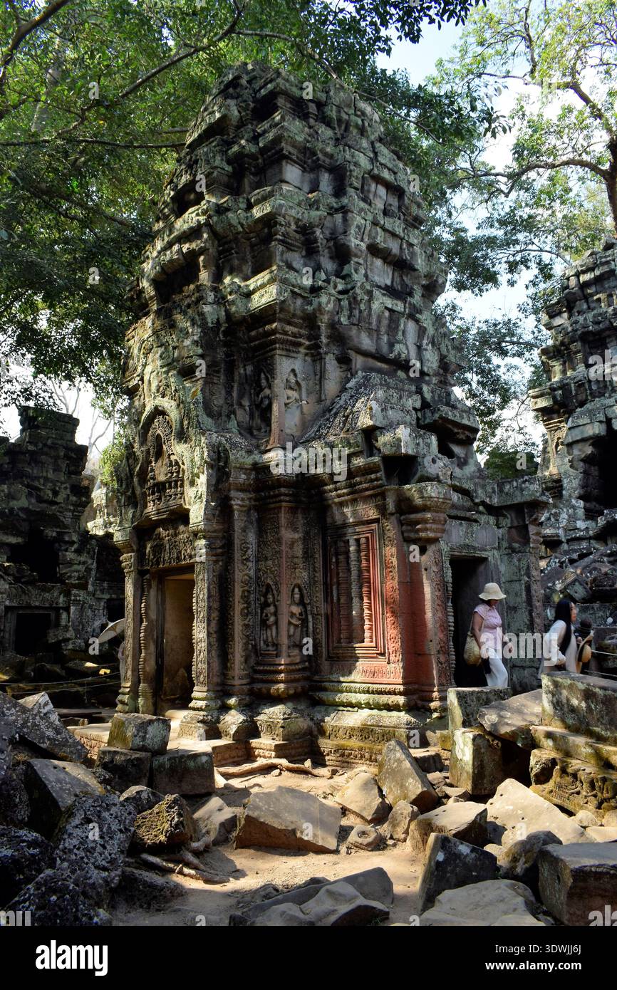 Ta Prohm Tempel Angkor Stockfoto