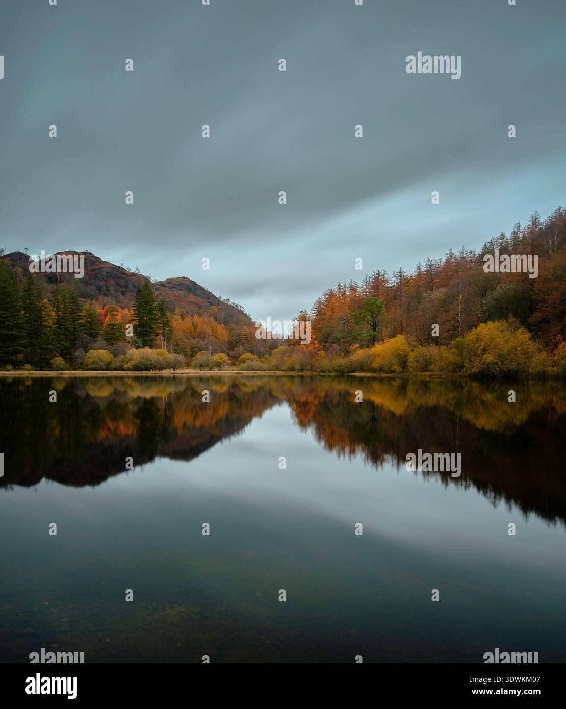 FLACHE, RUHIGE REFLEXIONEN, HERBSTFARBEN AUF DEM EIBENBAUM-TARN Stockfoto