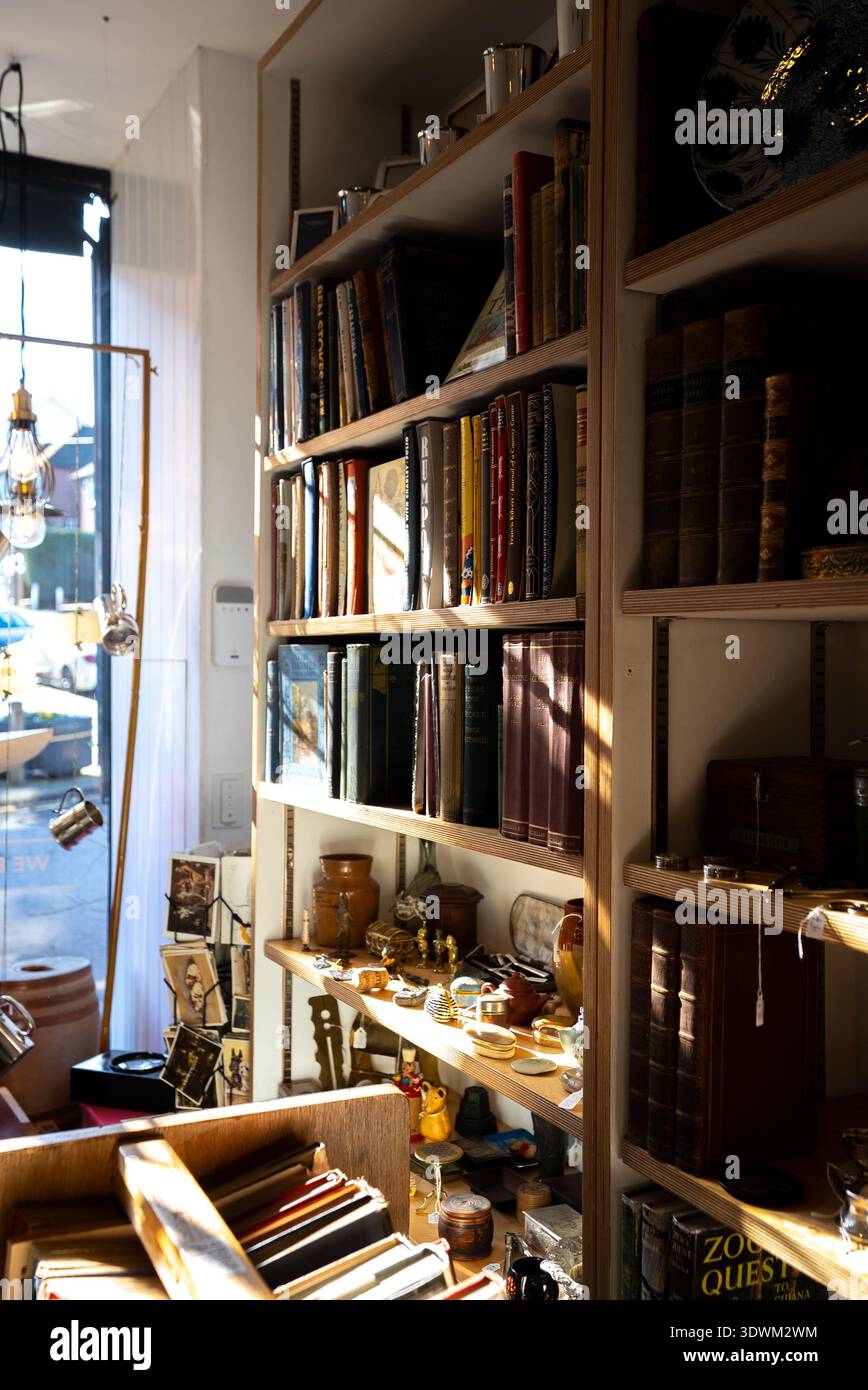 Antike Bücher auf einem hohen Regal in einem Geschäft mit Sonnenstrahlen Stockfoto