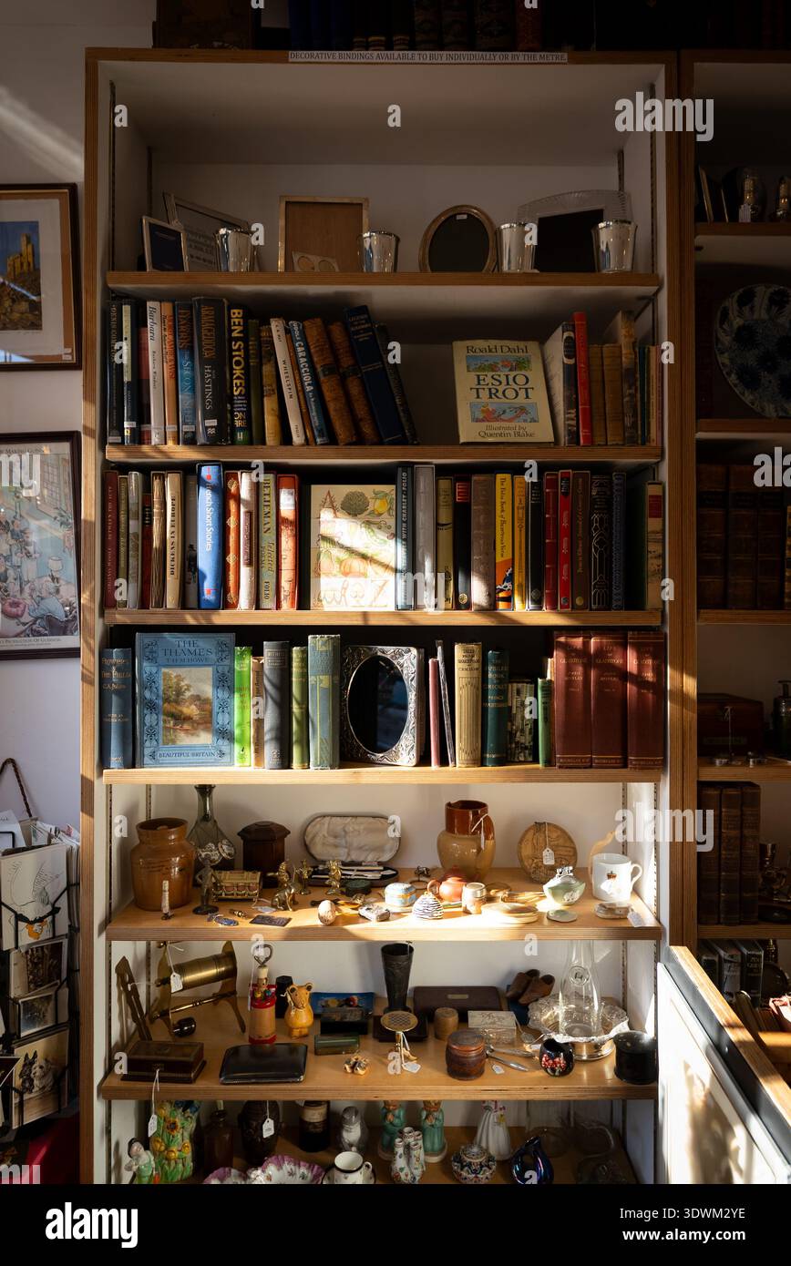 Antike Bücher auf einem hohen Regal in einem Geschäft mit Sonnenstrahlen Stockfoto