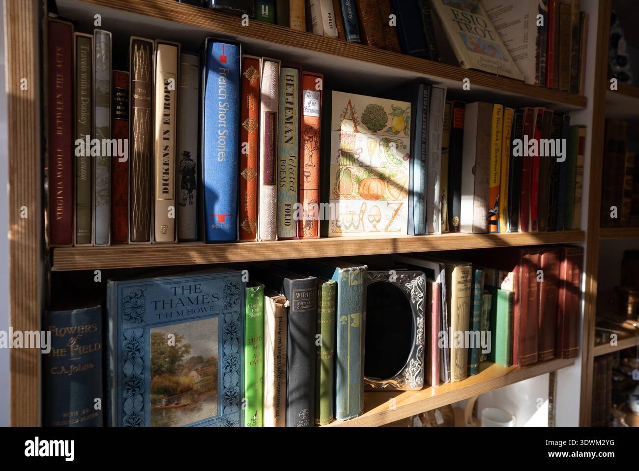 Antike Bücher auf einem hohen Regal in einem Geschäft mit Sonnenstrahlen Stockfoto