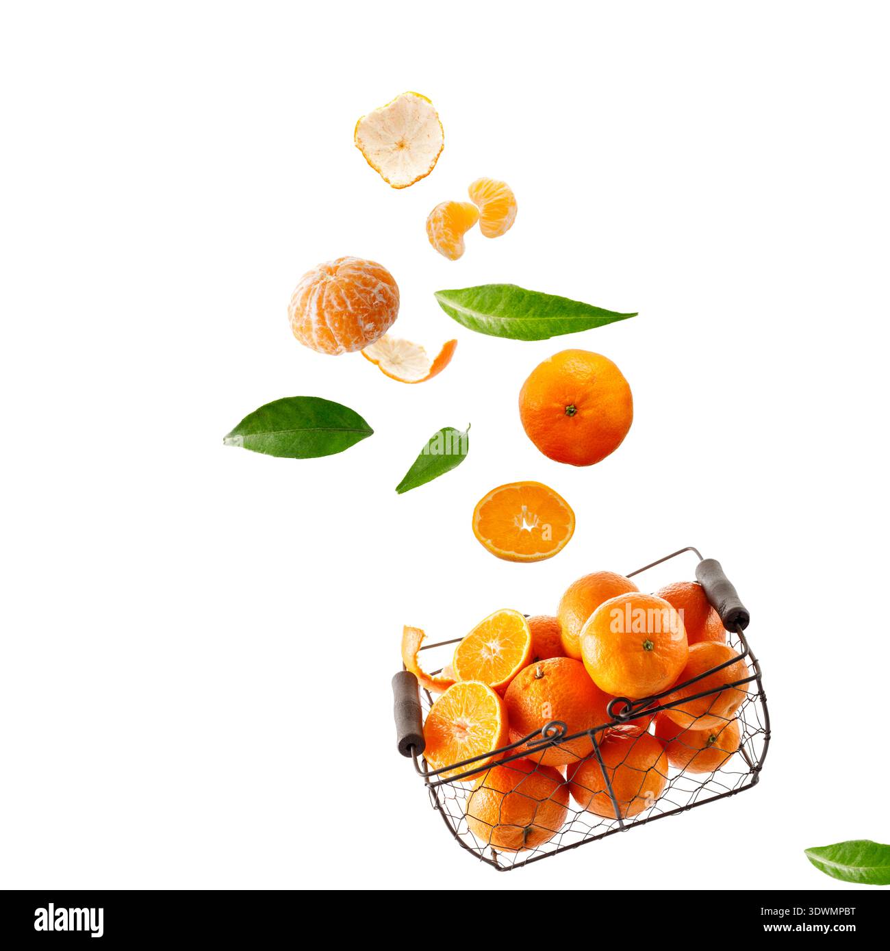 Frische Orangenmandarinen in braunem Metallkorb, fallende Früchte und Blätter isoliert auf weißem Hintergrund Stockfoto