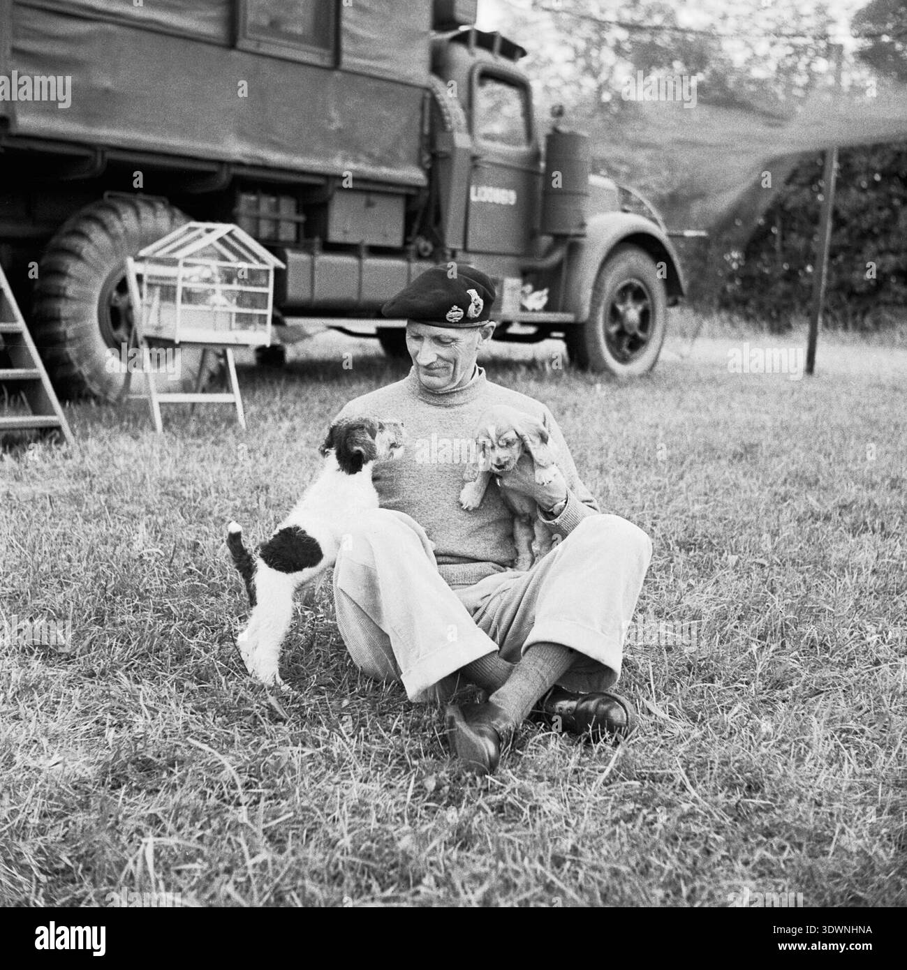 General Montgomery mit seinen Welpen Hitler und Rommel in seinem mobilen Hauptquartier in der Normandie, 6. Juli 1944. Dahinter ist sein Kanarienkäfig zu sehen, der auch mit ihm reiste. Stockfoto