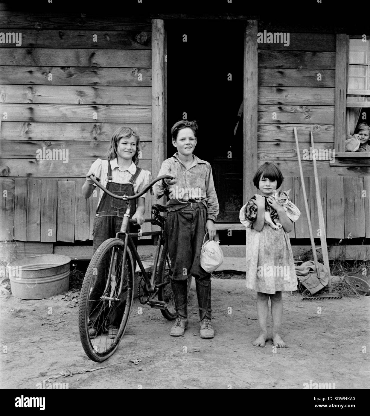 Dieses emotionale Foto von Dorothea lange aus dem Jahr 1939 zeigt die Arnold-Kinder vor ihrem bescheidenen Holzhaus in Michigan Hill, Washington. Drei Kinder stehen stolz mit einem Fahrrad und einem Kätzchen, während ein viertes Kind aus einem Fenster blickt und den widerstandsfähigen Geist amerikanischer Familien während der Großen Depression verkörpert. Stockfoto