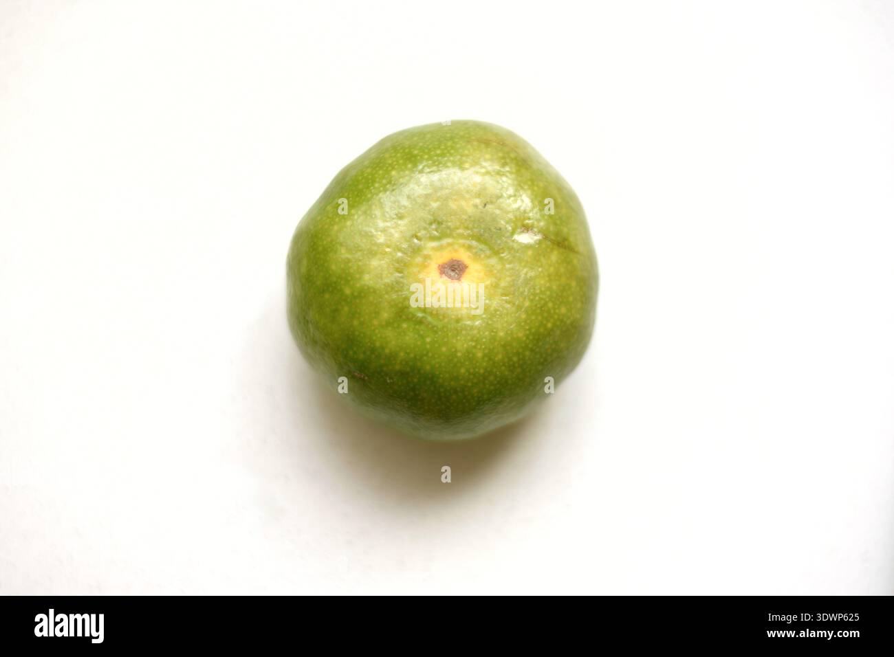 Draufsicht auf die Tangerine auf dem weißen Tisch Stockfoto