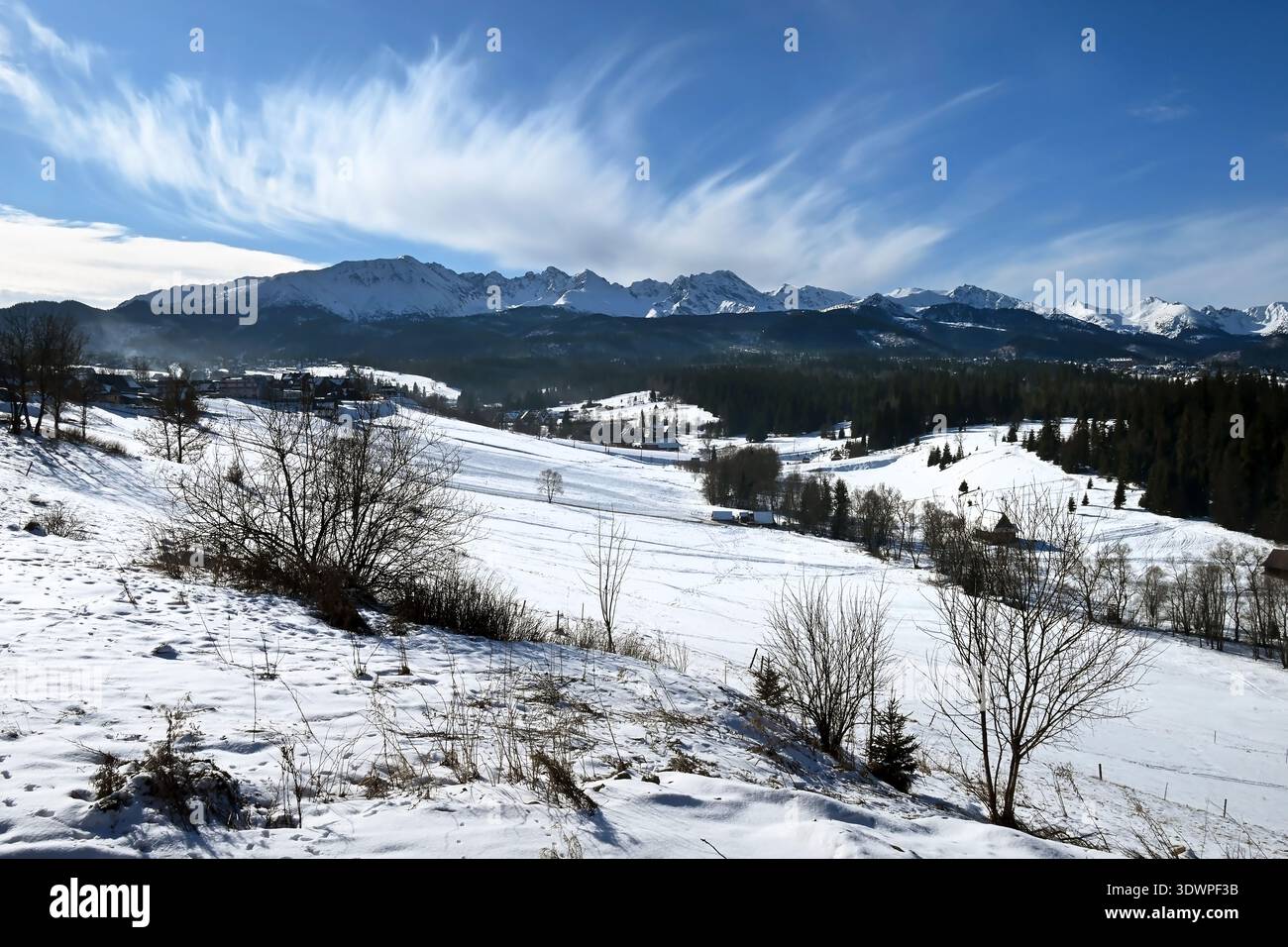 Schneebedeckte Felder, Häuser und Kiefern unterhalb der Gipfel der westlichen Tatra im Winter, in der Nähe von Murzasichle und Zakopane, Polen Stockfoto