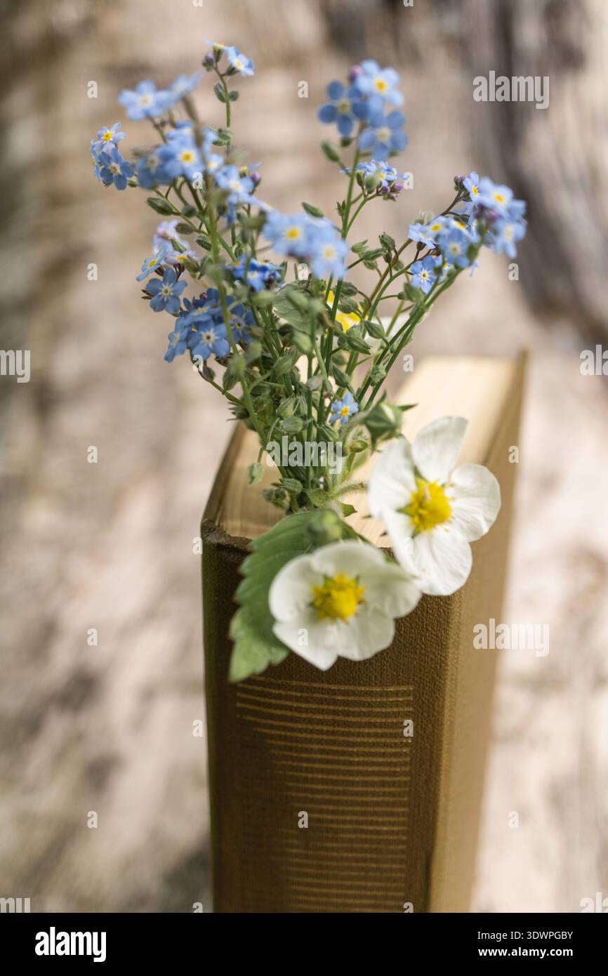 Hardcover-Buch mit zartem blauem und weißem Blumenarrangement Stockfoto