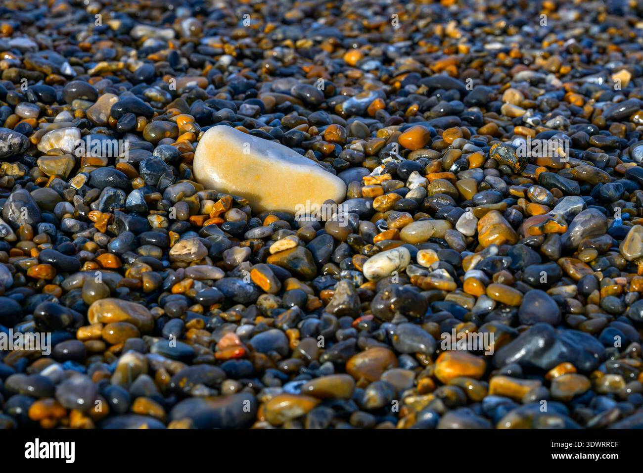 Riesige Mengen von Schindeln, die Teil der Seeverkehrsverteidigung in Cley North Norfolk, Großbritannien, sind Stockfoto