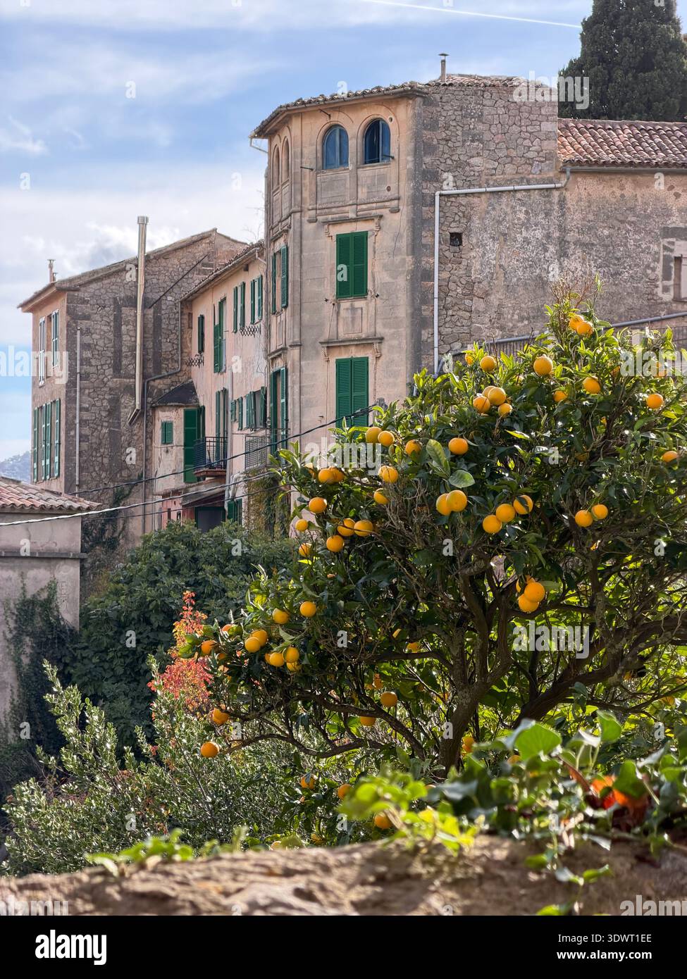 Traditionelle Steinhäuser und Orangenbäume in einem mediterranen Dorf auf Mallorca, Spanien, malerische balearische Landschaft. - Smartphone-aufgenommenes Stockfoto
