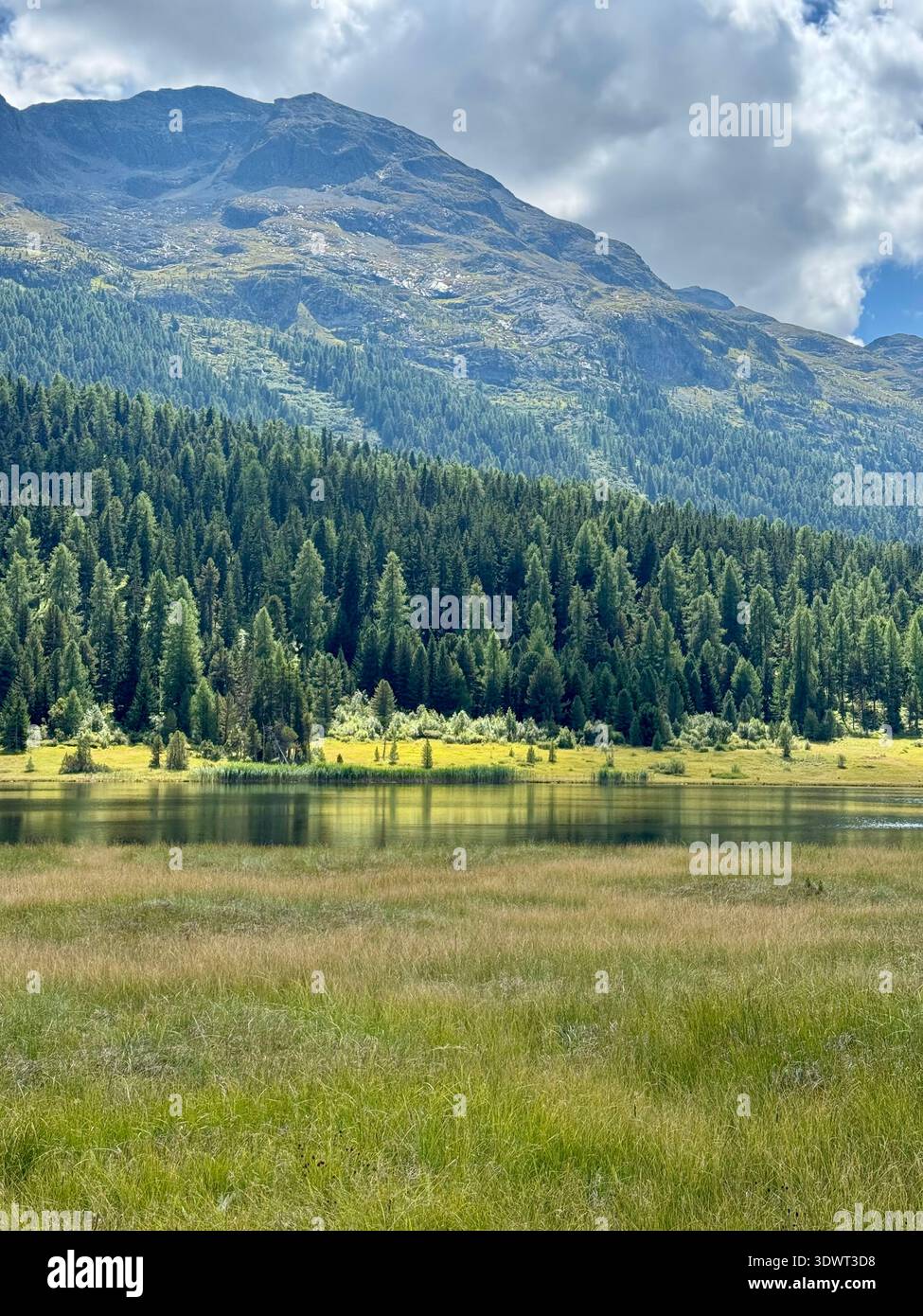 Alpensee und Almwiesen im Engadin-Tal, Schweiz, mit Kiefernwäldern und Bergen, die sich in ruhigem Wasser unter dramatischen Wolken spiegeln. - Smartphone-aufgenommenes Stockfoto