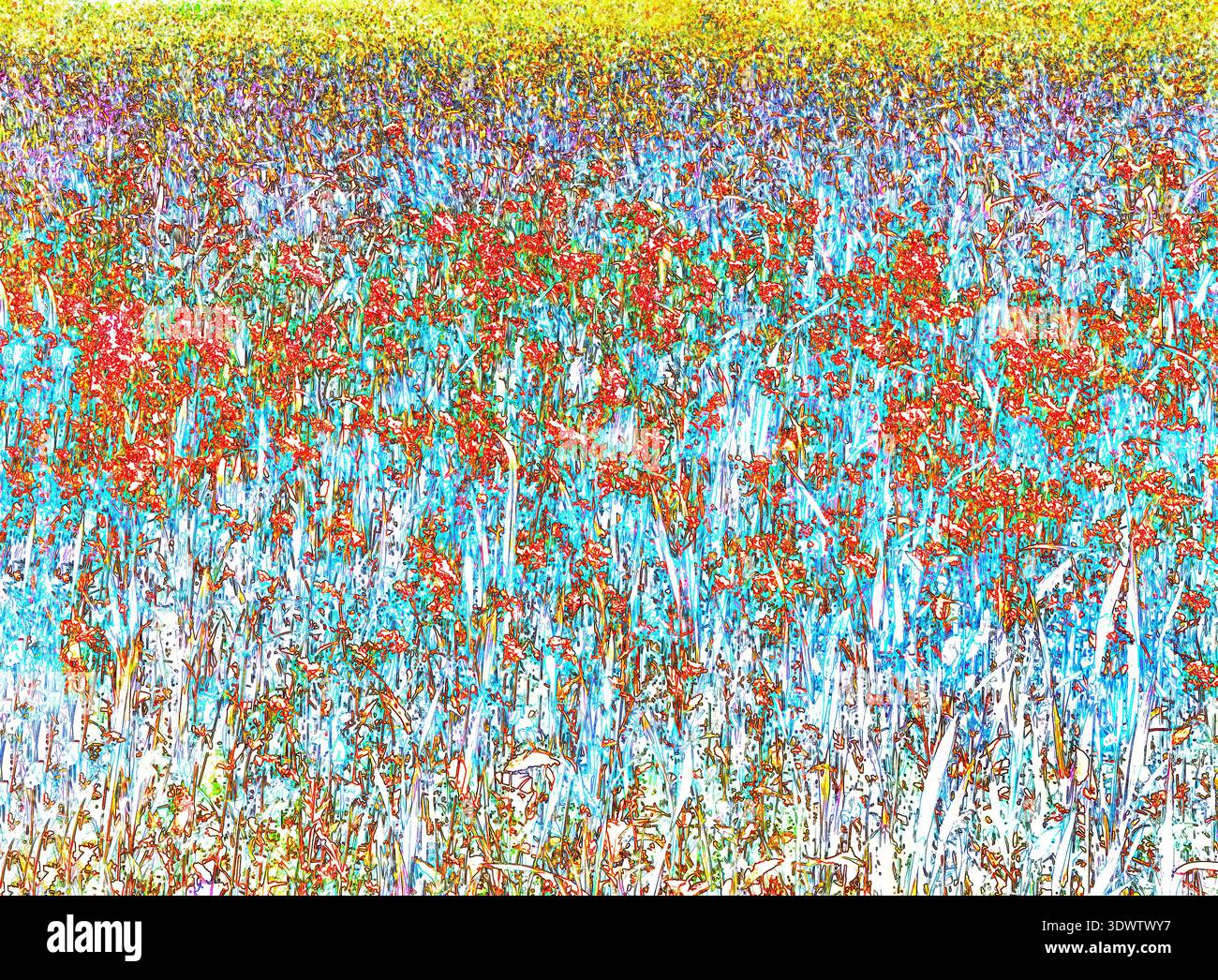 Eine farbenfrohe Wildblumenwiese im Stil einer Zeichnung mit zarten Kontrasten. Stockfoto