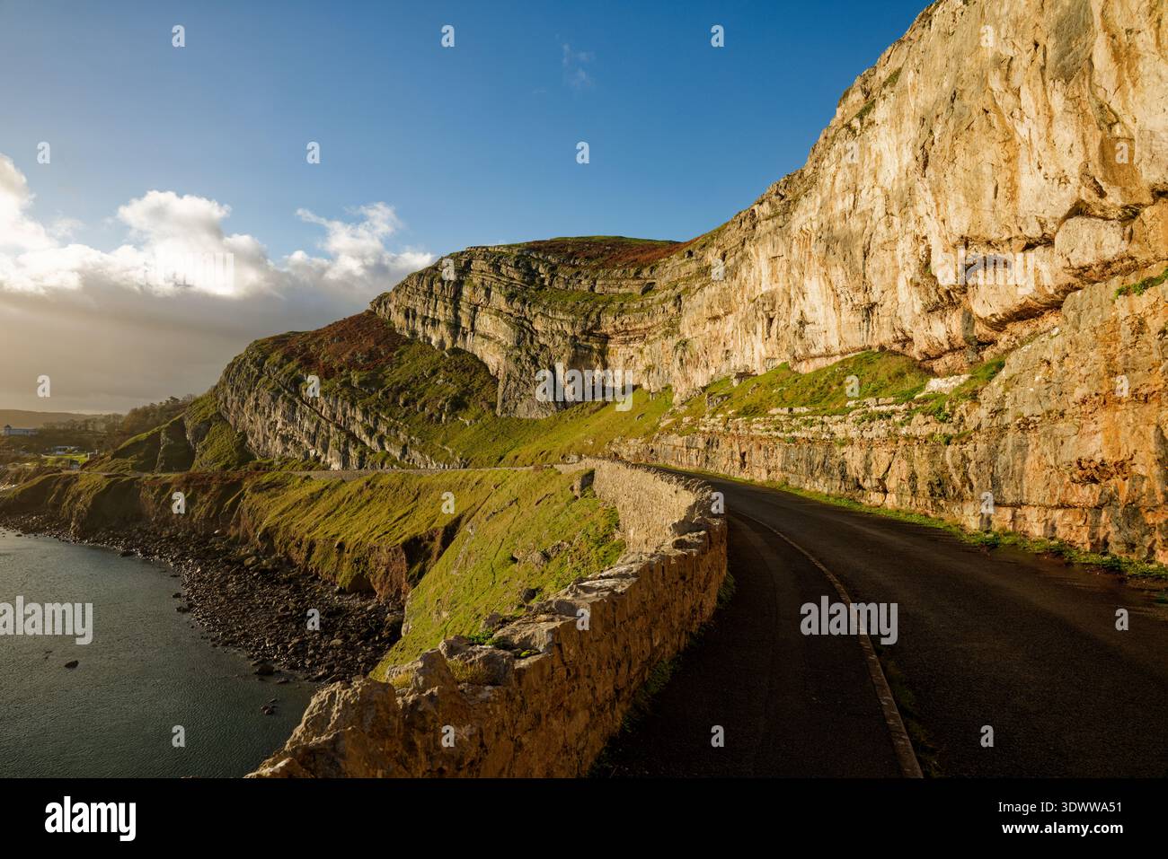 Eine dramatische Küstenstraße, die in Kalksteinfelsen gehauen ist, die in die Morgensonne getaucht sind, auf der Landzunge Great Orme in Llandudno, Wales. Stockfoto
