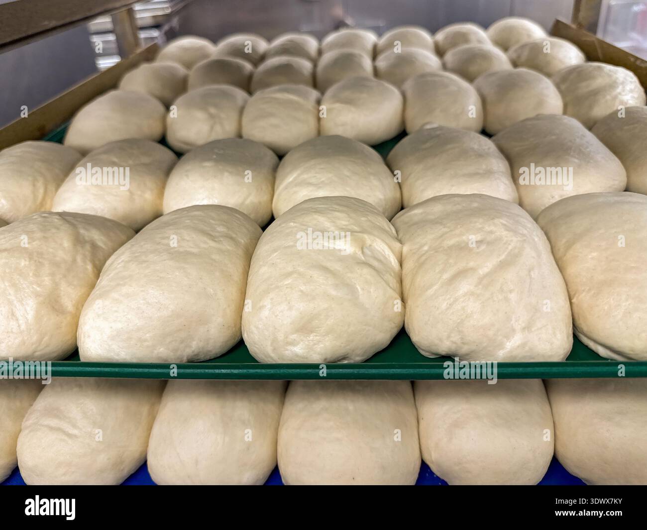 Brötchenbleche, die sich vor dem Backen in warmer Umgebung bewähren. Keine Personen. Stockfoto