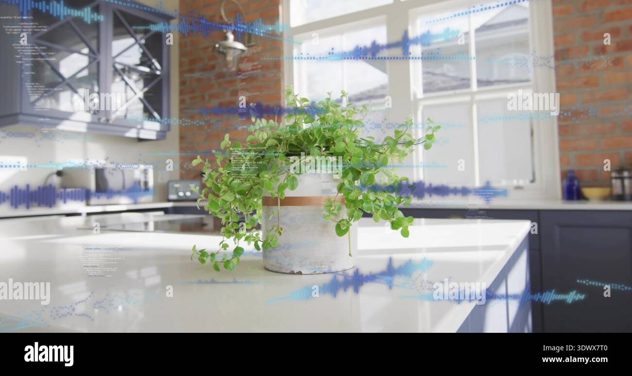 Mit Topfpflanzen, die Reben über der weißen Insel in der Küche abhängen, mit blauer Wellenform Stockfoto