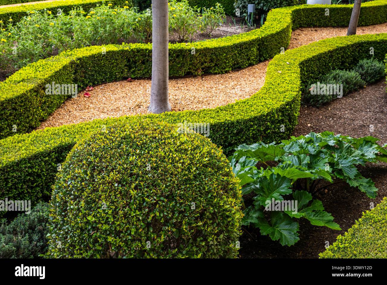Gepflegte grüne Büsche und strukturierte Gartenwege mit raffiniertem Landschaftsdesign und Außenästhetik Stockfoto